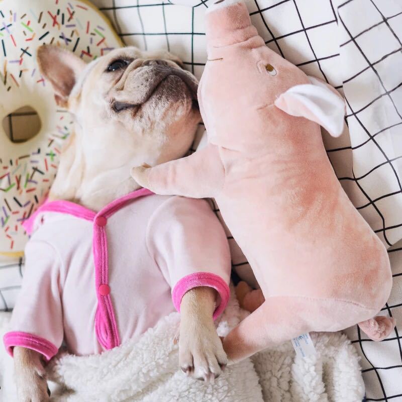 Brinquedo para dormir para Cães